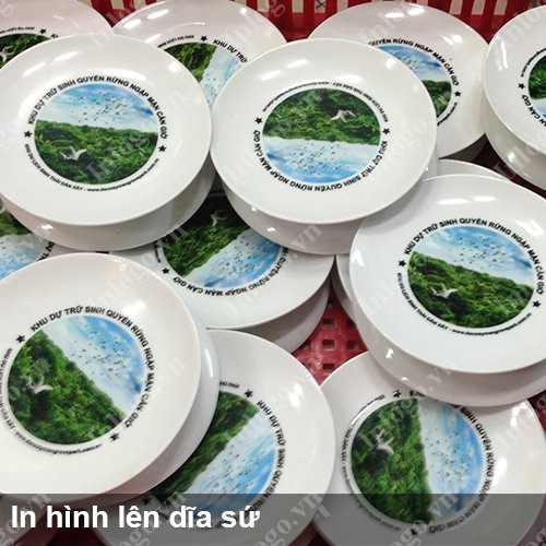 Dia su Minh Long