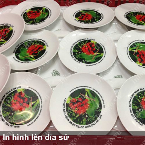 Dia su Minh Long